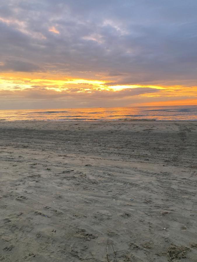 شقة دي بان  في Zeehalm - 20M From The Beach المظهر الخارجي الصورة